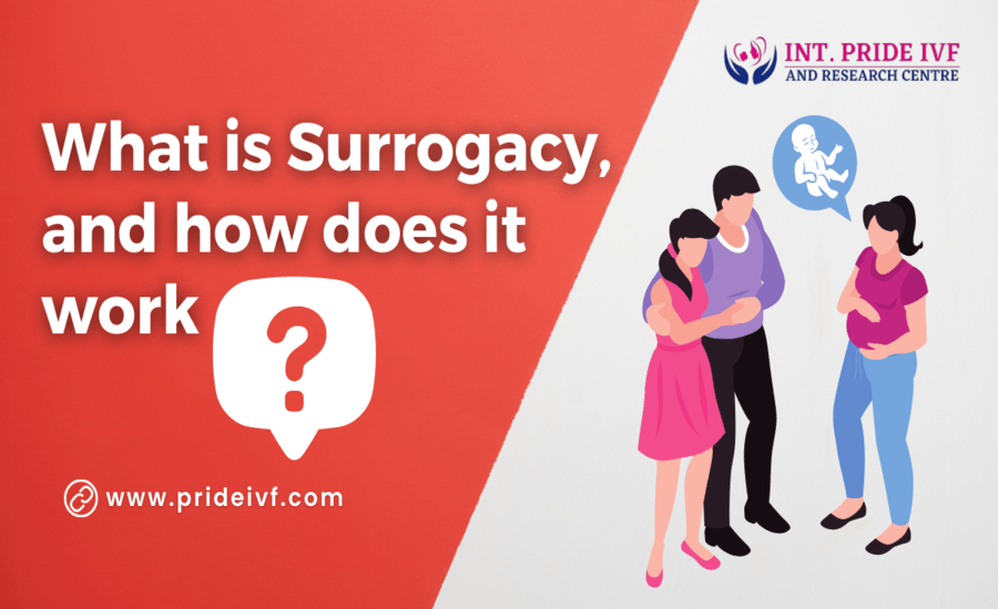 You are currently viewing What is Surrogacy, and How Does it Work?