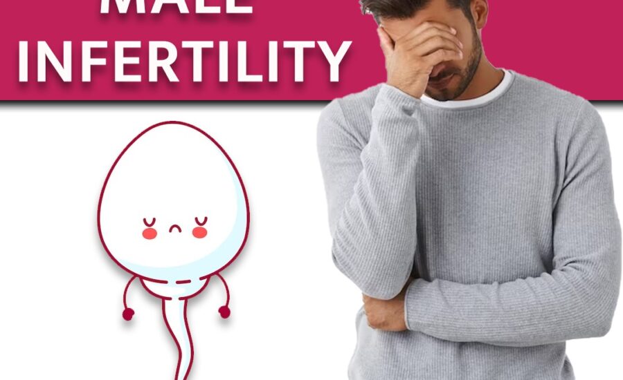 Read more about the article Fertility Treatment in Delhi | Fertility Specialist