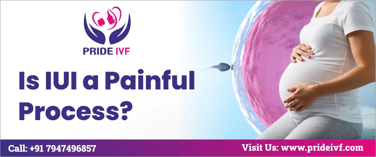 Read more about the article Is IUI Painful Process?
