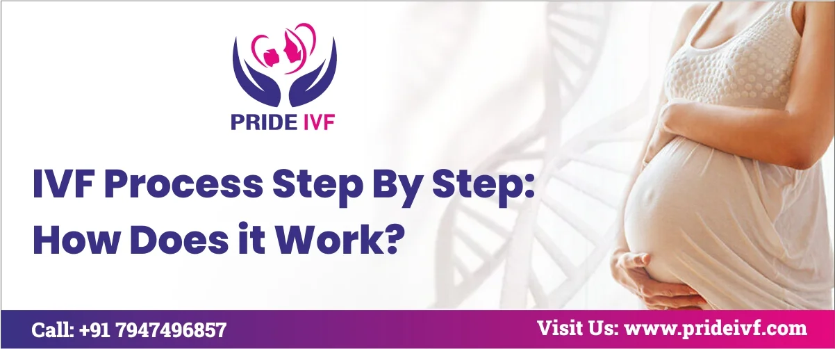 You are currently viewing IVF Process Step By Step: How Does it Work?