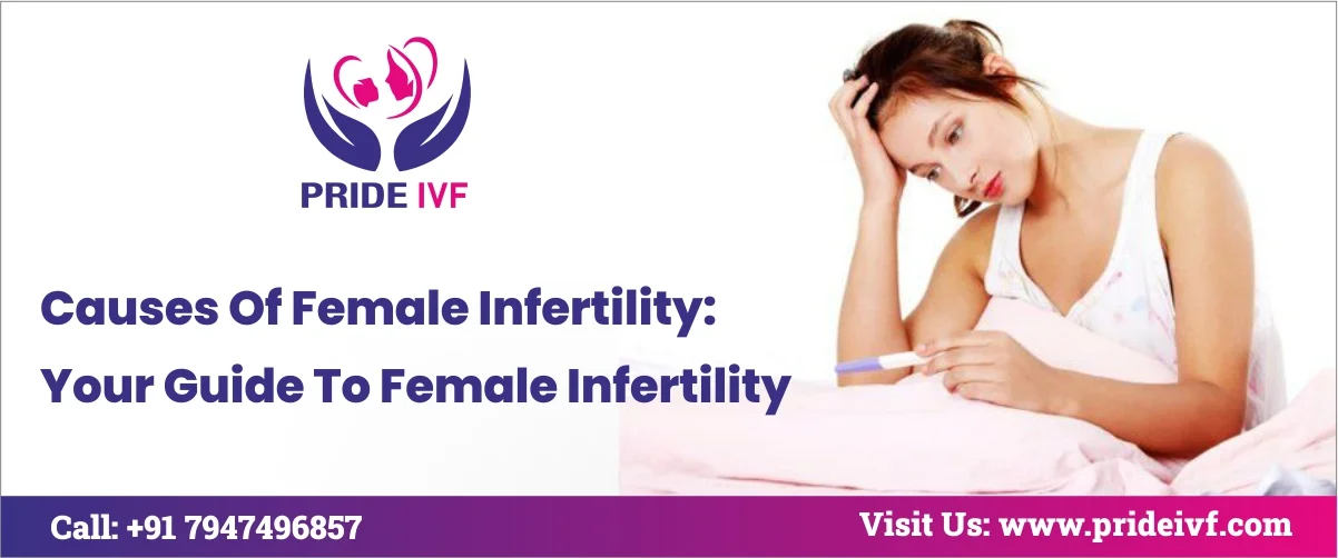 You are currently viewing Causes Of Female Infertility: Your Guide To Female Infertility