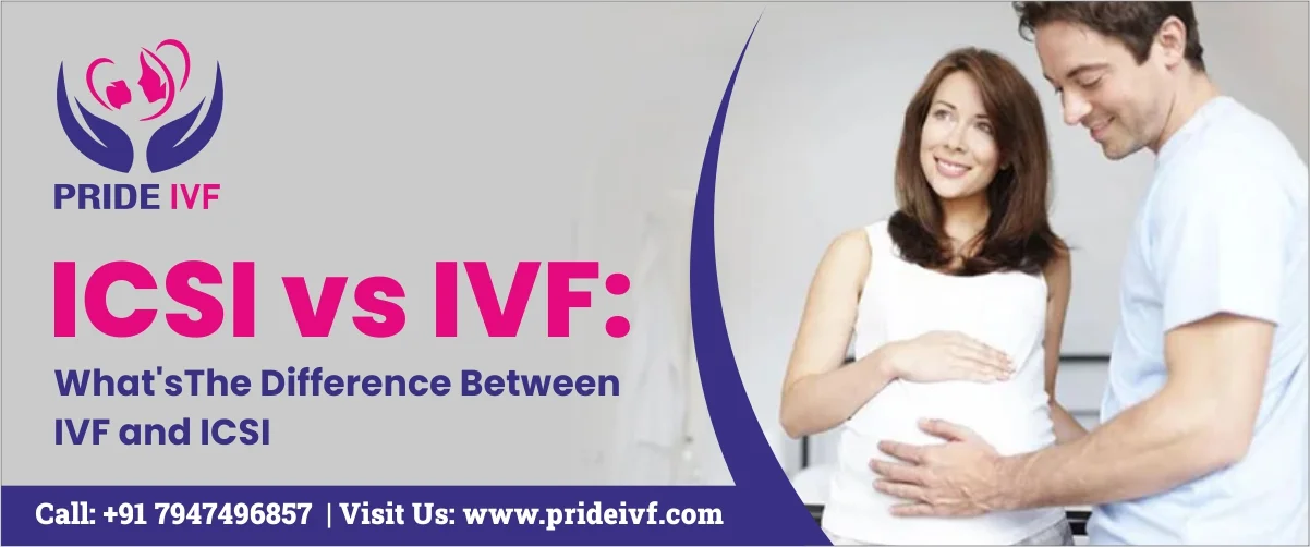 Read more about the article ICSI vs IVF: What’s The Difference Between IVF and ICSI?
