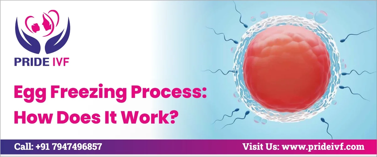 Read more about the article Egg Freezing Process: How Does It Work?