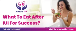 Read more about the article What To Eat After IUI For Success?