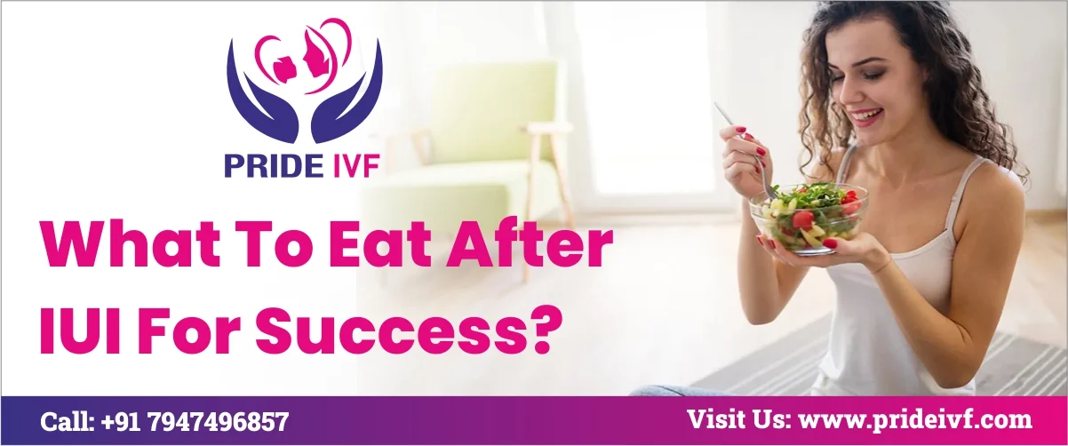 Read more about the article What To Eat After IUI For Success?