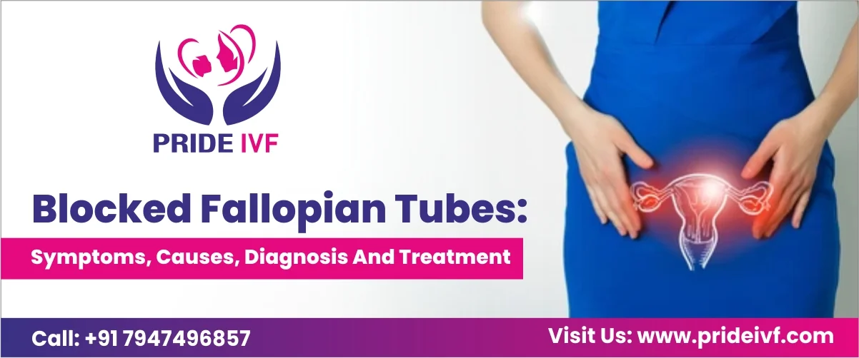 You are currently viewing Blocked Fallopian Tubes: Symptoms, Causes, Diagnosis and Treatment