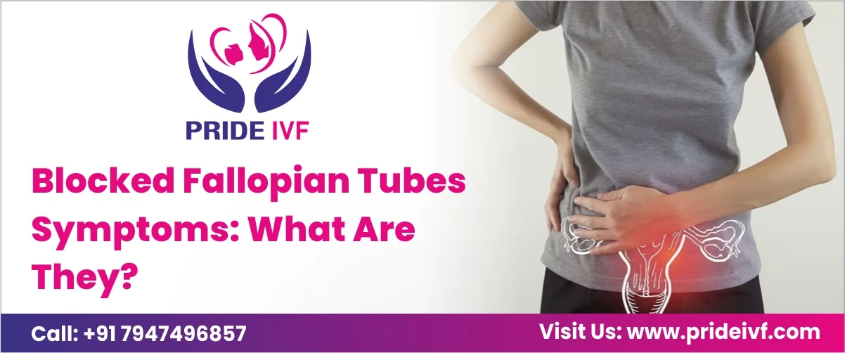 Read more about the article Blocked Fallopian Tubes Symptoms: What Are They?