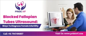 Read more about the article Blocked Fallopian Tubes Ultrasound: Way to Diagnose Female Infertility