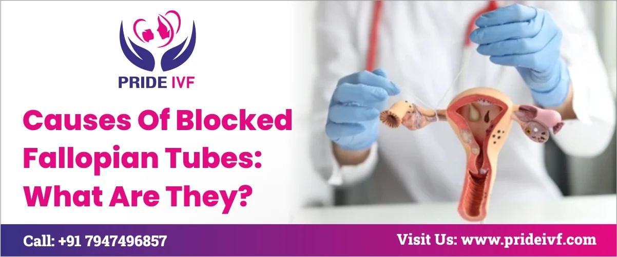 You are currently viewing Causes of Blocked Fallopian Tubes: What Are They?