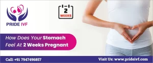 Read more about the article How Does Your Stomach Feel At 2 Weeks Pregnant | Pride IVF