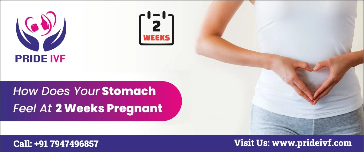 Read more about the article How Does Your Stomach Feel At 2 Weeks Pregnant | Pride IVF