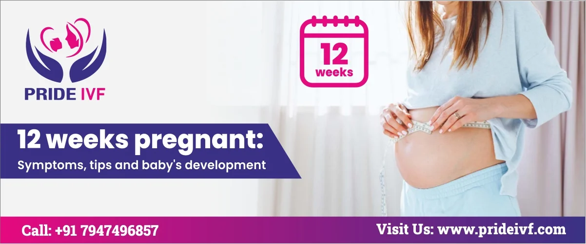 You are currently viewing 12 Weeks Pregnant: Symptoms, Tips And Baby’s Development