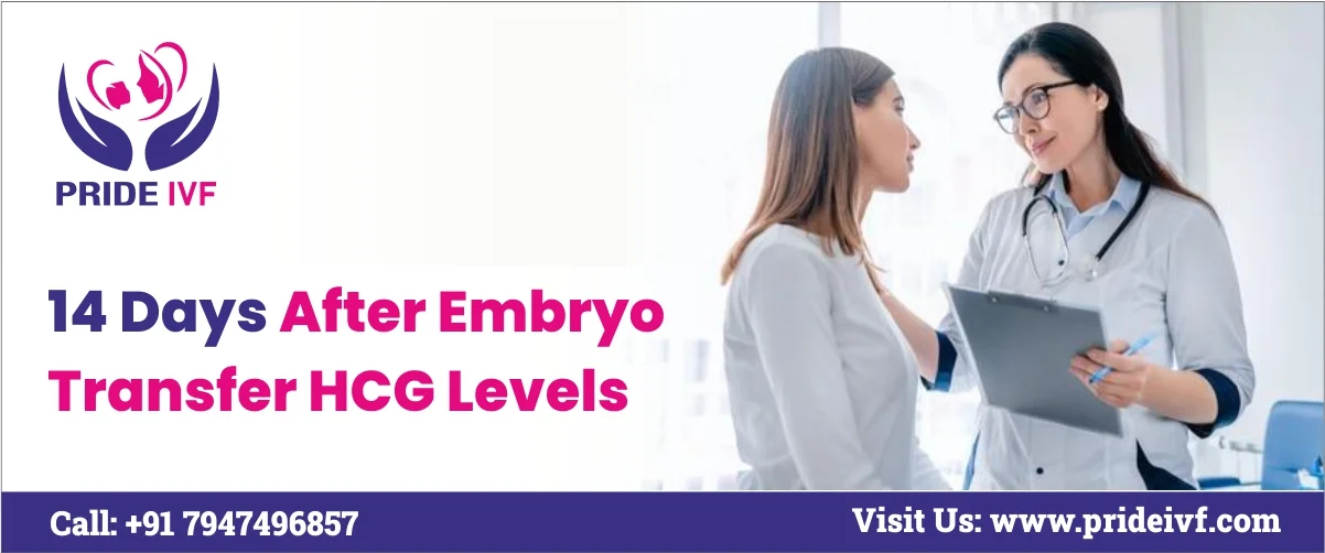 You are currently viewing 14 Days After Embryo Transfer hCG Levels