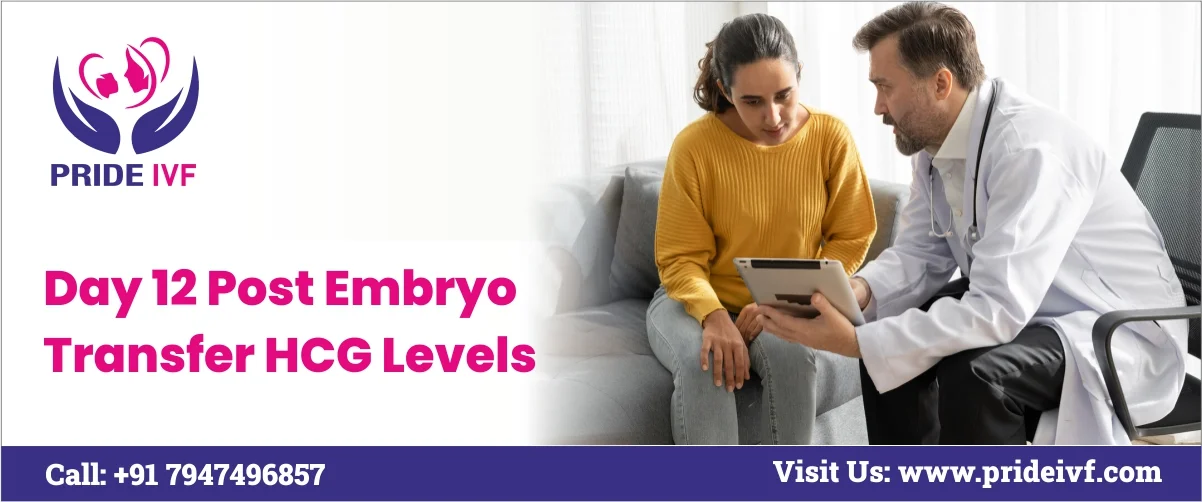 You are currently viewing Day 12 Post Embryo Transfer hCG Levels