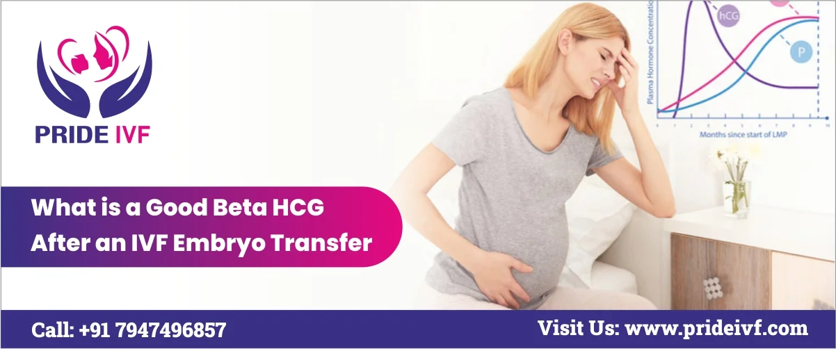 You are currently viewing What is a Good Beta hCG After an IVF Embryo Transfer