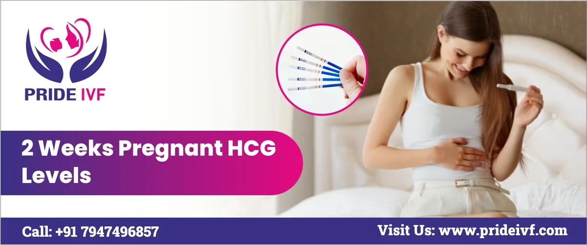 You are currently viewing 2 Weeks Pregnant hCG Levels
