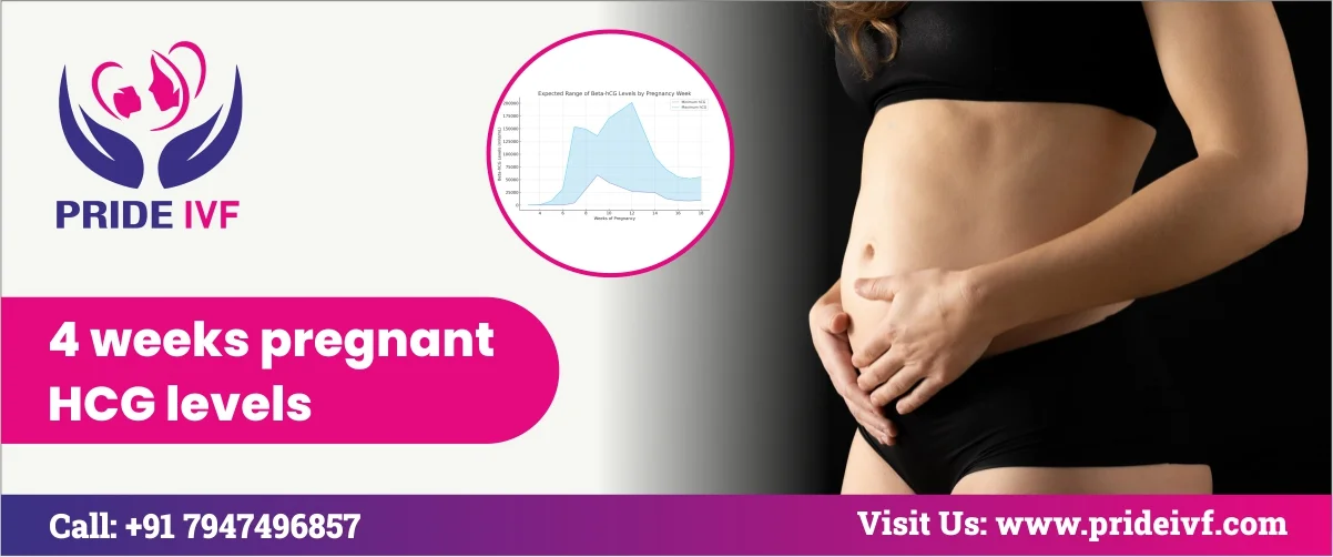 4 Weeks Pregnant hCG Levels Early Signs and What to Know