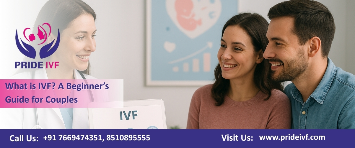 Read more about the article What is IVF? A Beginner’s Guide for Couples